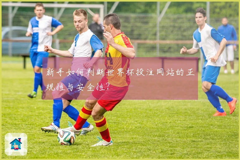 新手如何判断世界杯投注网站的正规性与安全性？