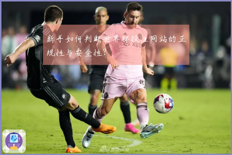 新手如何判断世界杯投注网站的正规性与安全性？