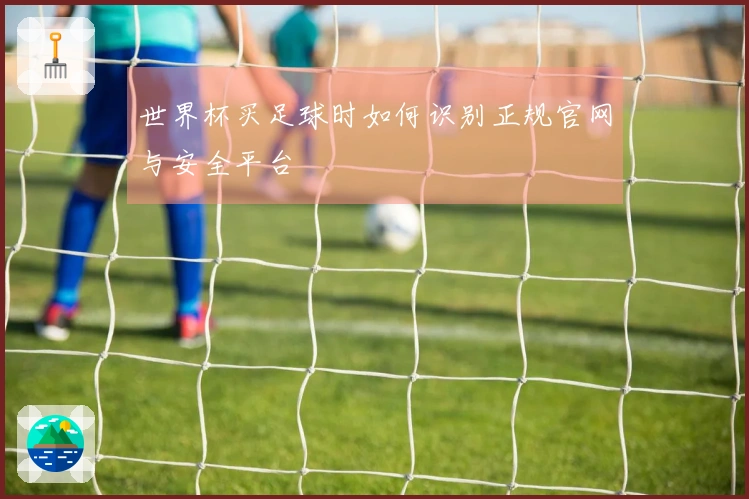 世界杯买足球时如何识别正规官网与安全平台